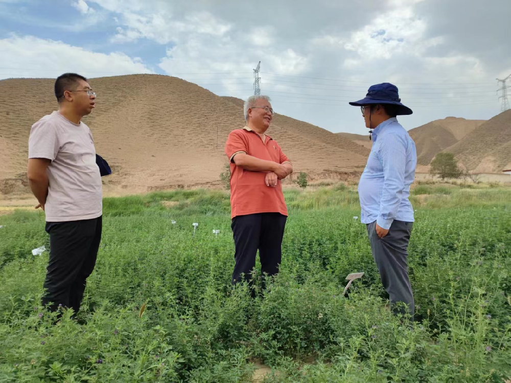 三杰牧草（楊凌）研究院院長陳海濤博士和金昌三杰牧草有限公司副總經(jīng)理史小強(qiáng)蒞臨我公司蘭州飼草牧草制種試驗(yàn)站考察調(diào)研